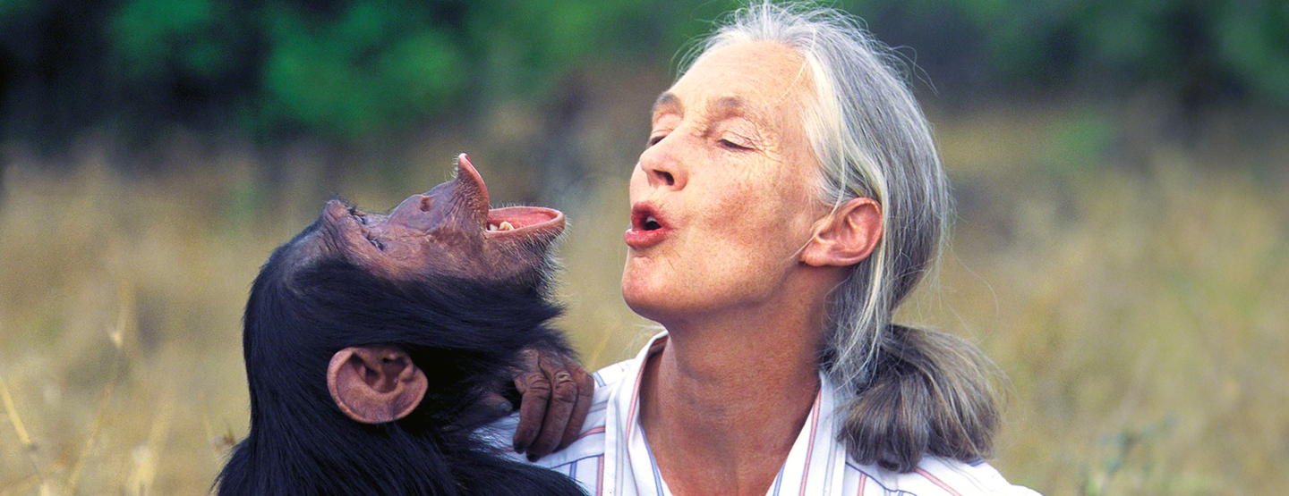 Jane Goodall: Život pre šimpanzy